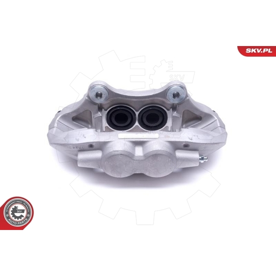 55SKV901 - Brake Caliper 