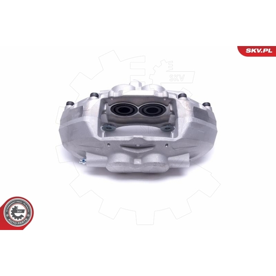 55SKV901 - Brake Caliper 