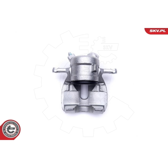 46SKV781 - Brake Caliper 