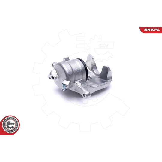 46SKV781 - Brake Caliper 