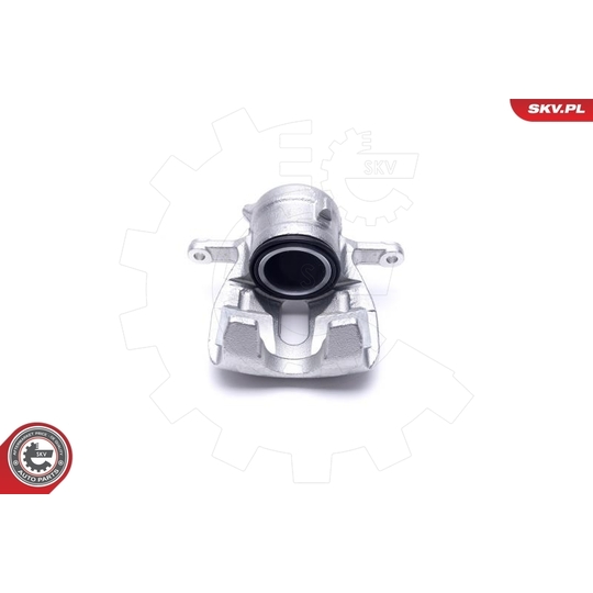 46SKV781 - Brake Caliper 