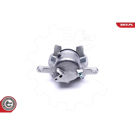 46SKV781 - Brake Caliper 