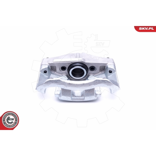 46SKV162 - Brake Caliper 