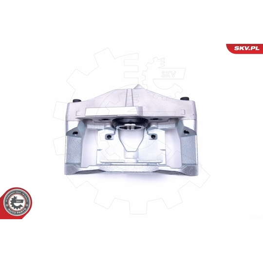 46SKV162 - Brake Caliper 