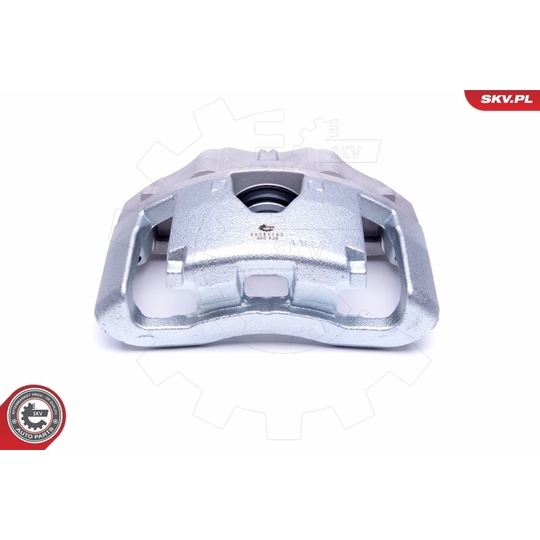 46SKV162 - Brake Caliper 