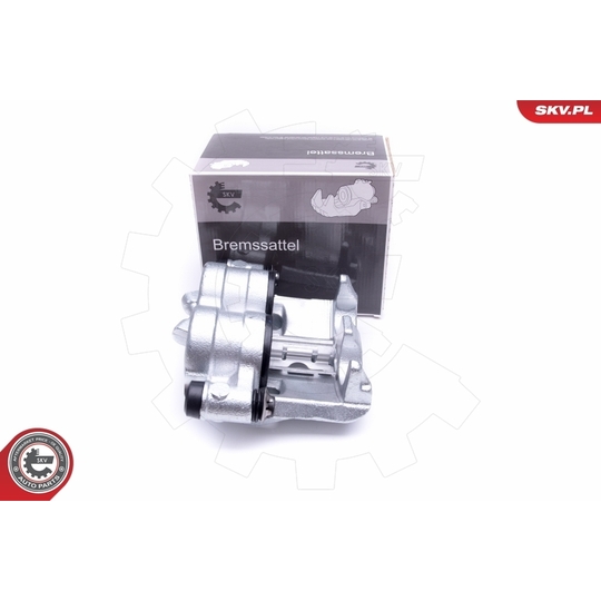 46SKV181 - Brake Caliper 