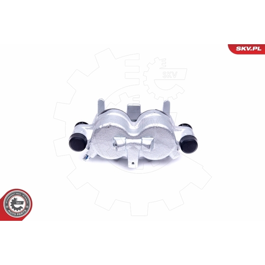 46SKV181 - Brake Caliper 