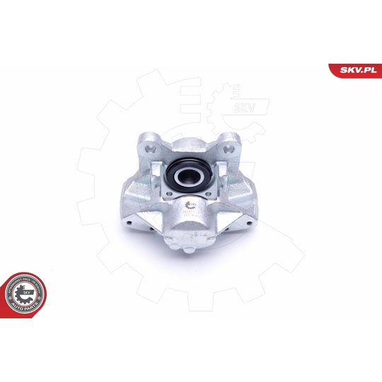 46SKV013 - Brake Caliper 