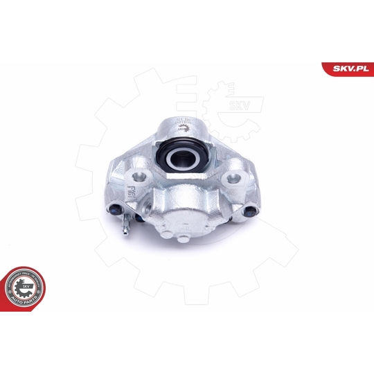 46SKV013 - Brake Caliper 