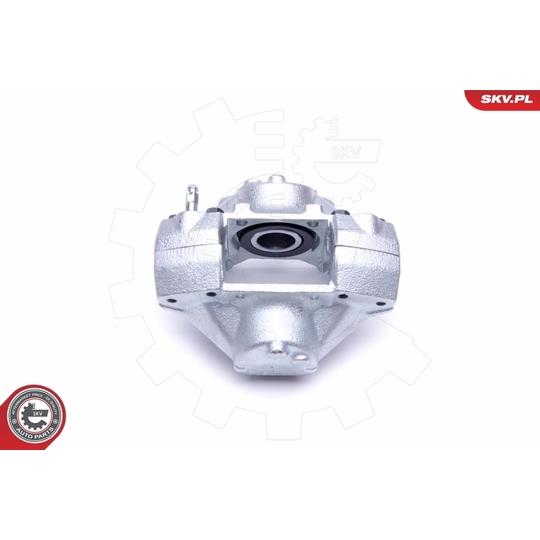 46SKV013 - Brake Caliper 