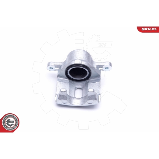 46SKV152 - Brake Caliper 