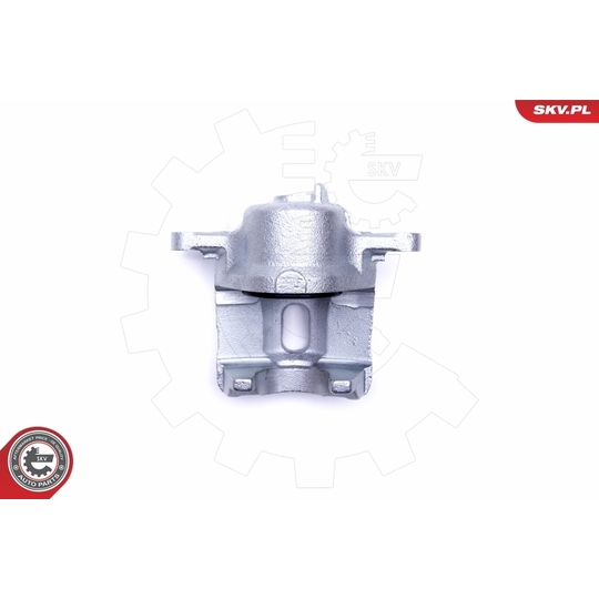 46SKV152 - Brake Caliper 