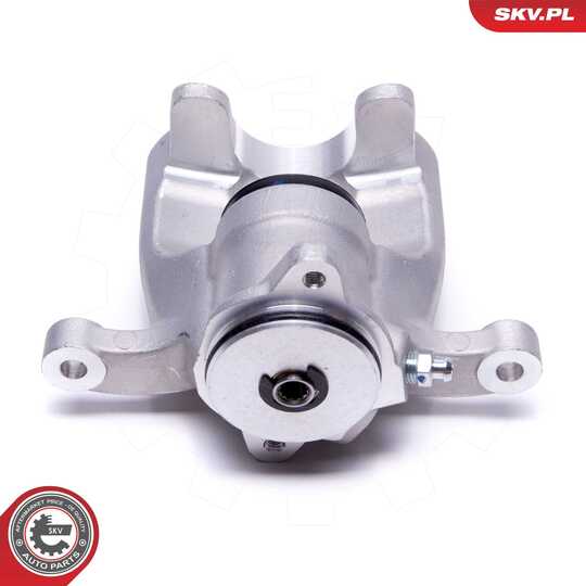 56SKV364 - Brake Caliper 