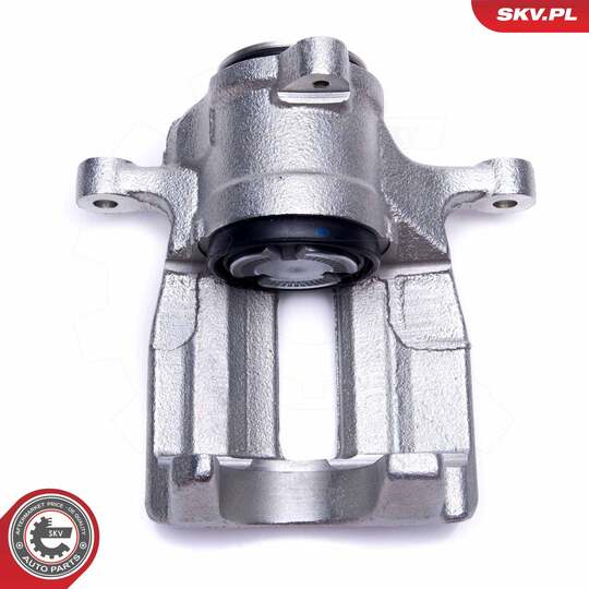 56SKV394 - Brake Caliper 