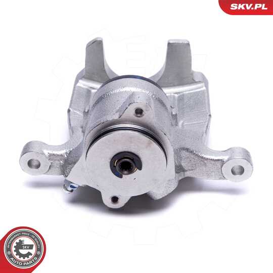 56SKV393 - Brake Caliper 