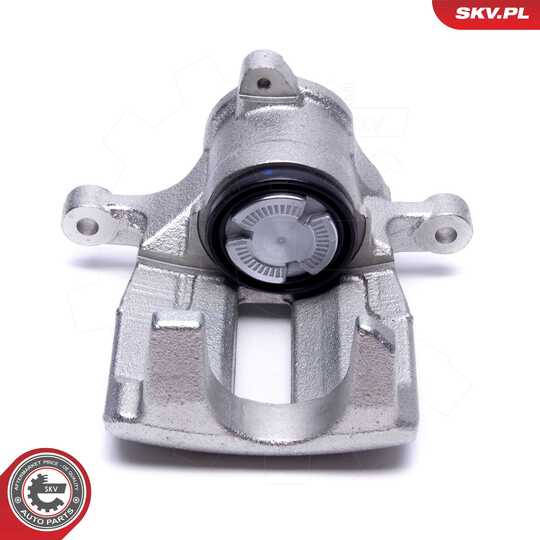 56SKV393 - Brake Caliper 