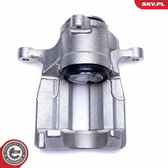 56SKV393 - Brake Caliper 