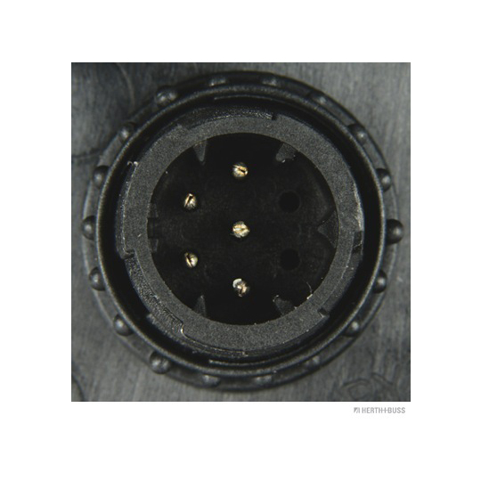 81658086 - Ajovalo 
