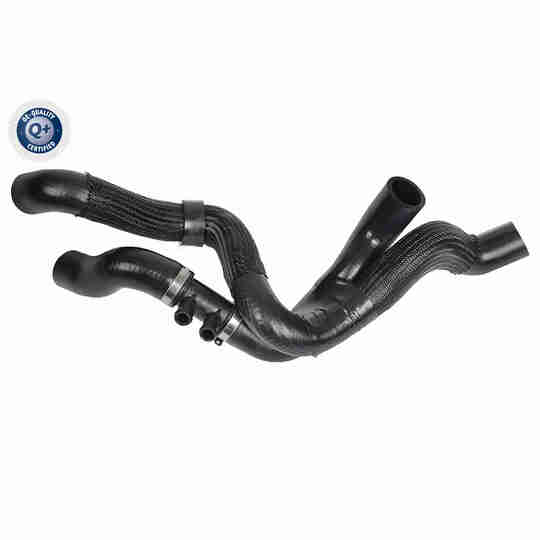 V10-8877 - Radiator Hose 