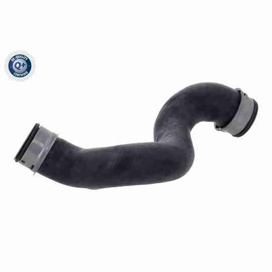 V30-4442 - Radiator Hose 