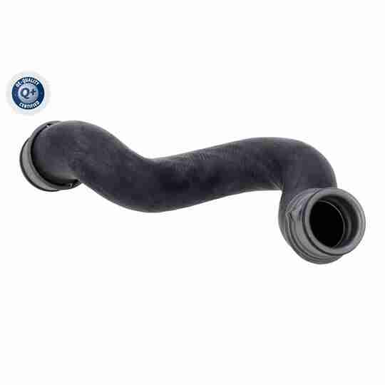 V30-4442 - Radiator Hose 