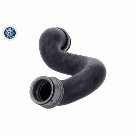 V30-4442 - Radiator Hose 