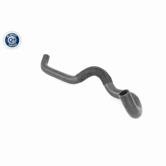 V22-1169 - Radiator Hose 