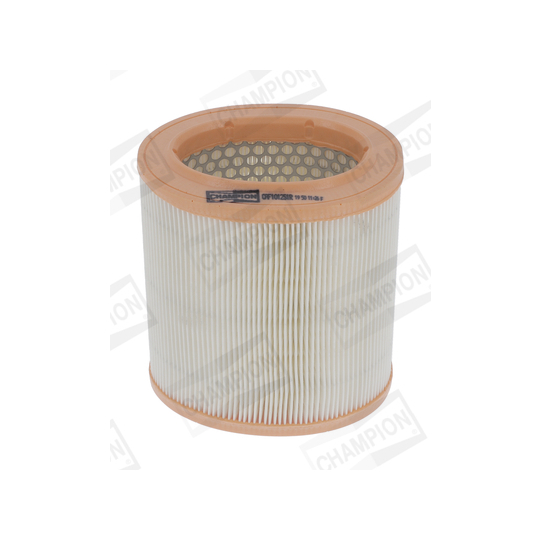 CAF101251R - Air filter 