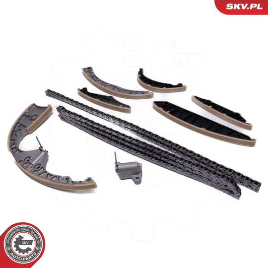 21SKV257 - Timing Chain Kit 