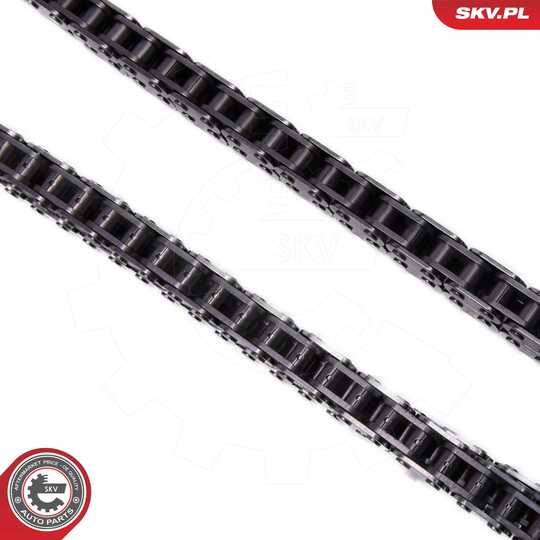 21SKV257 - Timing Chain Kit 