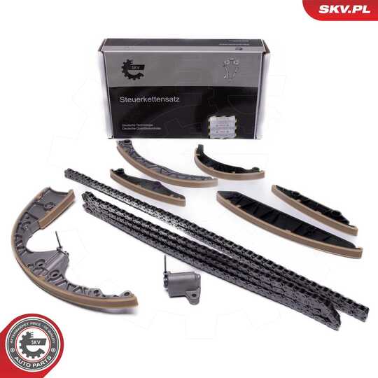 21SKV257 - Timing Chain Kit 