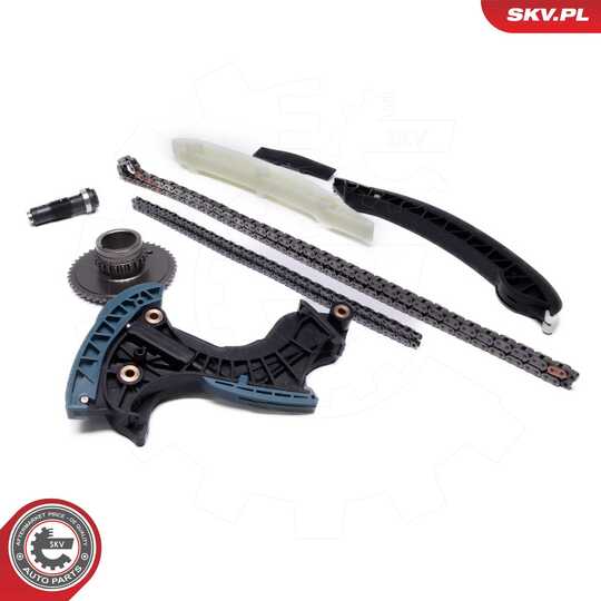 21SKV267 - Timing Chain Kit 