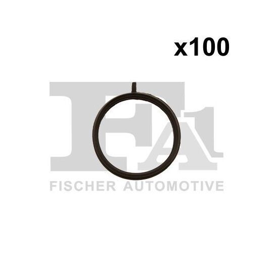 076.697.100 - Seal Ring 