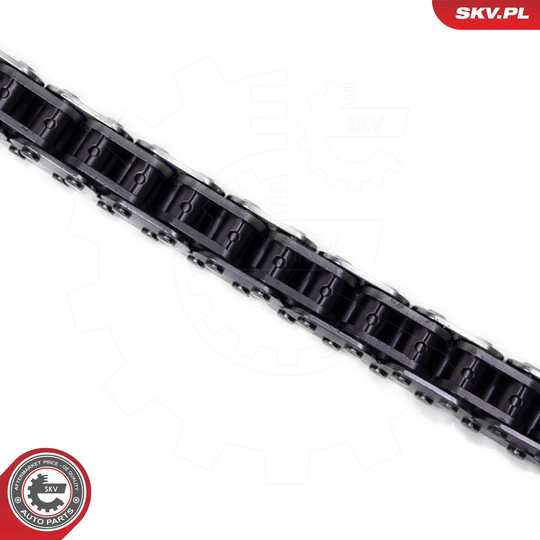 21SKV249 - Timing Chain Kit 