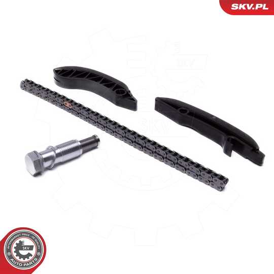 21SKV249 - Timing Chain Kit 