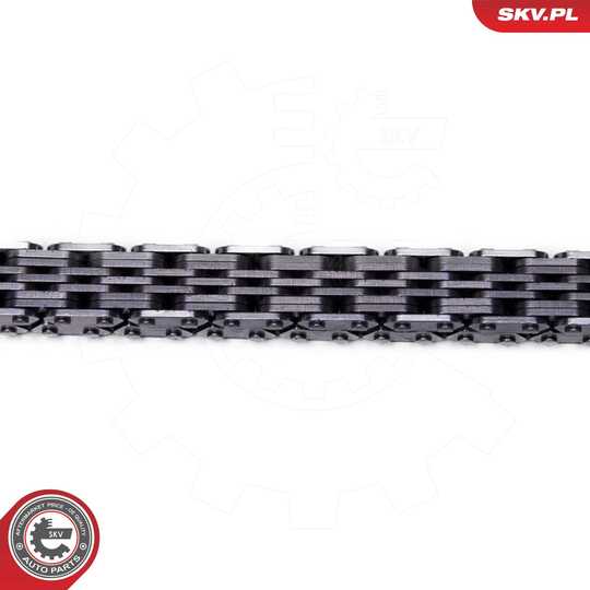 21SKV259 - Timing Chain Kit 