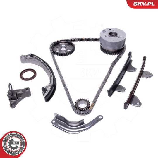 21SKV259 - Timing Chain Kit 