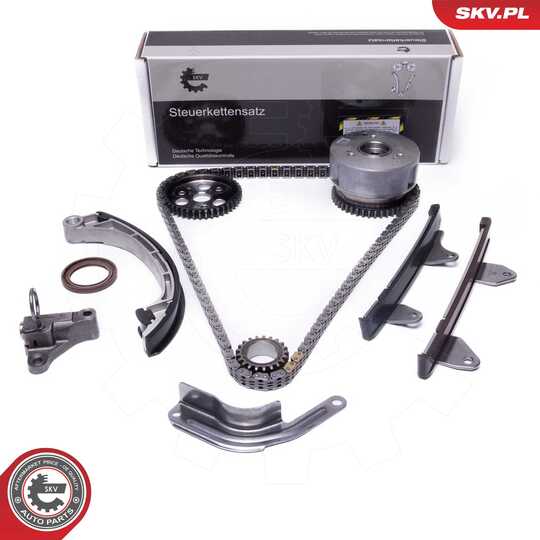 21SKV259 - Timing Chain Kit 