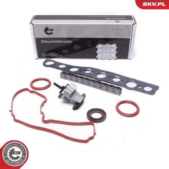 21SKV254 - Timing Chain Kit 