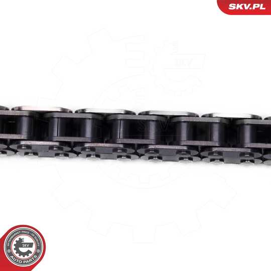 21SKV254 - Timing Chain Kit 