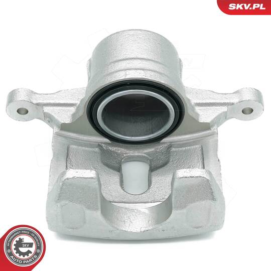 56SKV132 - Brake Caliper 