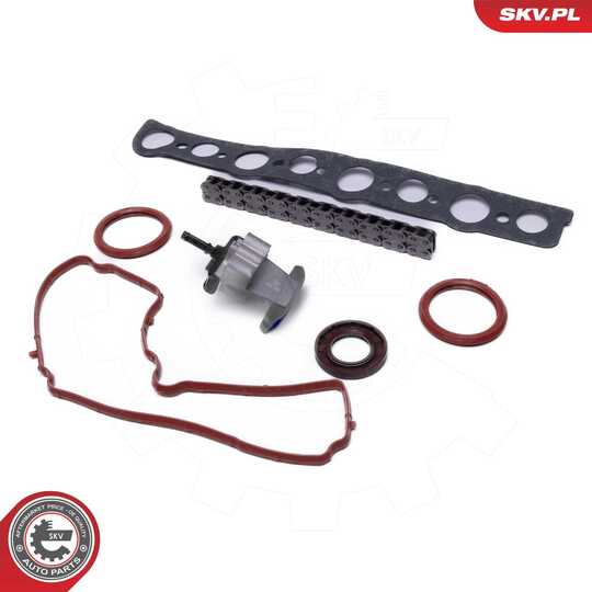 21SKV254 - Timing Chain Kit 