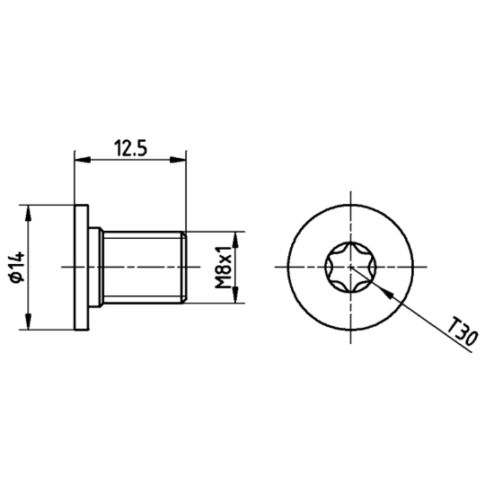 8DZ 355 209-021 - Bolt, brake disc 