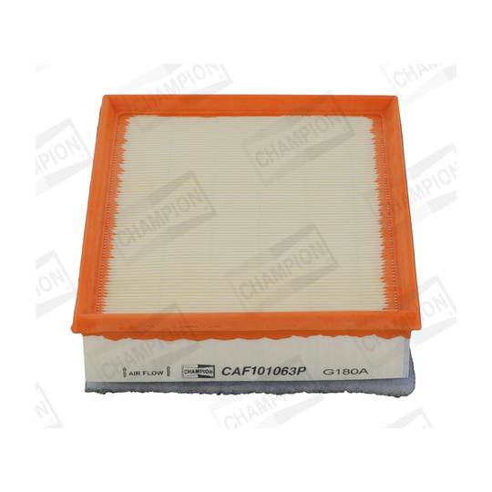 CAF101063P - Air filter 