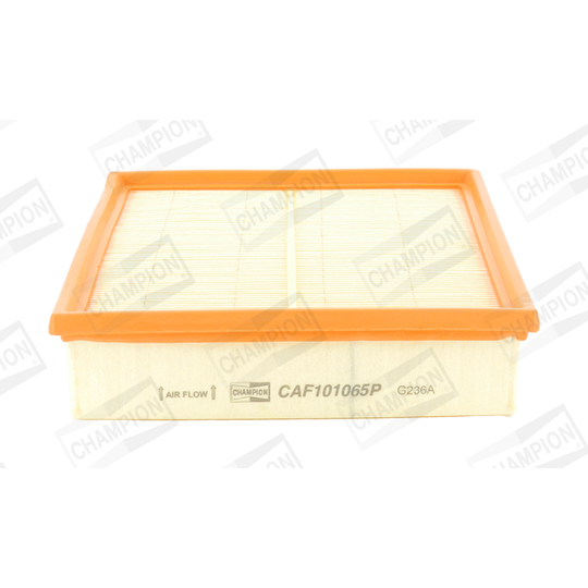 CAF101065P - Air filter 