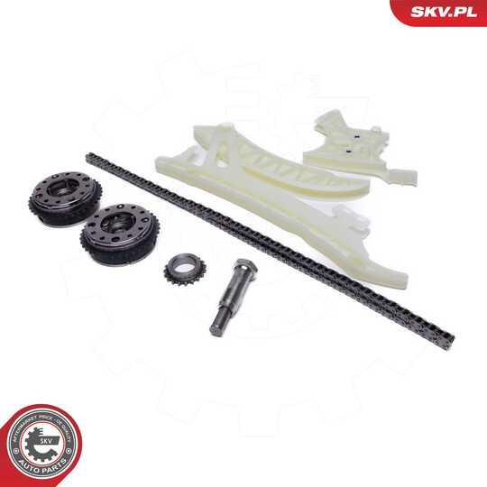 21SKV256 - Timing Chain Kit 