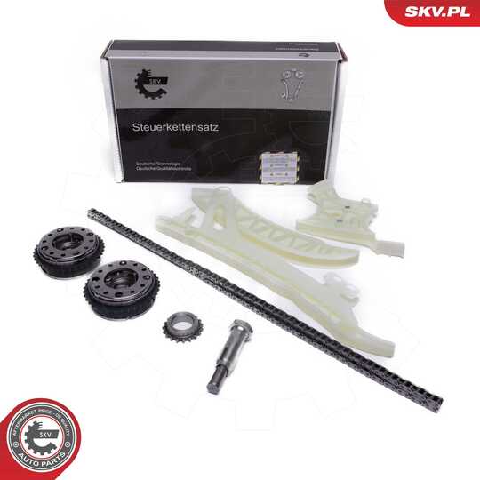 21SKV256 - Timing Chain Kit 