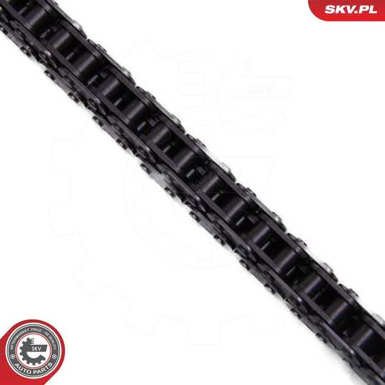 21SKV256 - Timing Chain Kit 