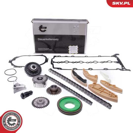 21SKV251 - Timing Chain Kit 