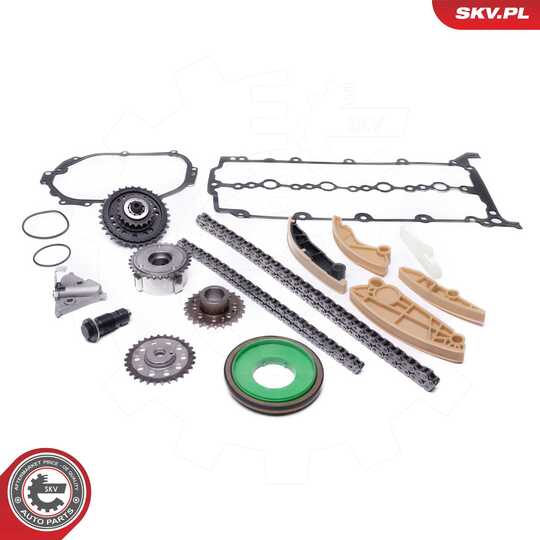 21SKV251 - Timing Chain Kit 